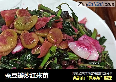 蚕豆瓣炒红米苋