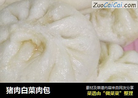 猪肉白菜肉包