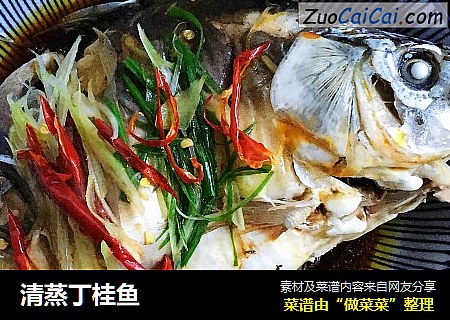 清蒸丁桂鱼