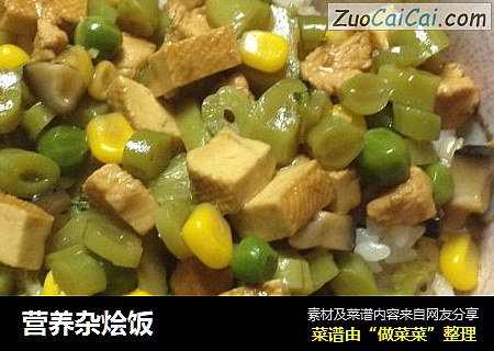 营养杂烩饭