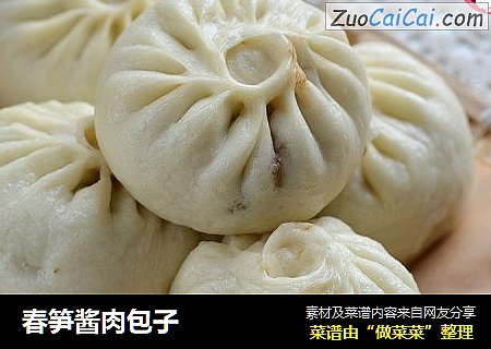 春笋酱肉包子