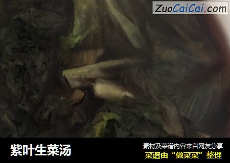 紫叶生菜汤