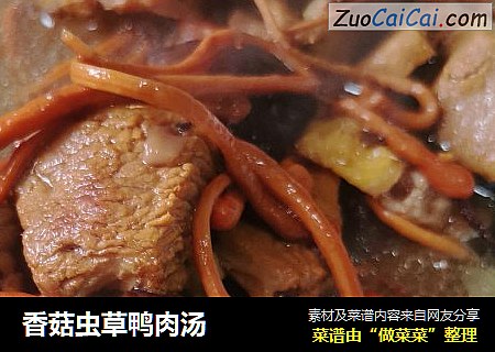 香菇虫草鸭肉汤