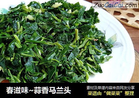 春滋味~蒜香马兰头