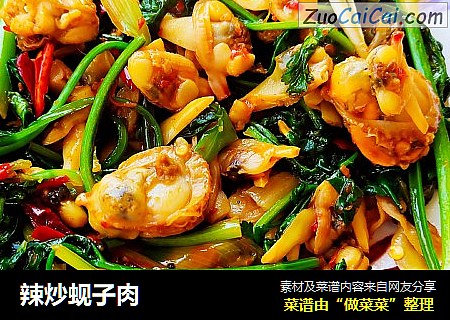 辣炒蚬子肉