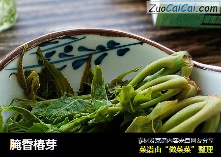 腌香椿芽