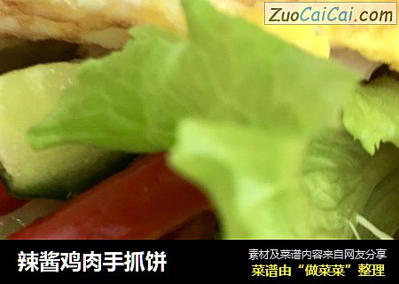 辣酱鸡肉手抓饼