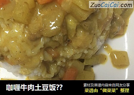 咖喱牛肉土豆饭??