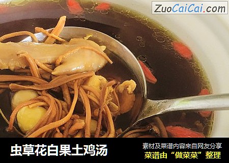 虫草花白果土鸡汤