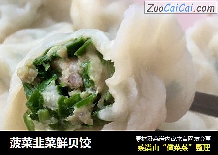 菠菜韭菜鲜贝饺