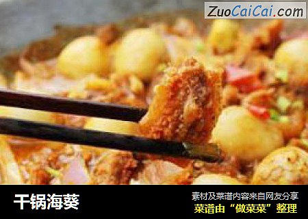 干锅海葵