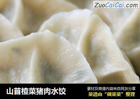 山苜楂菜猪肉水饺