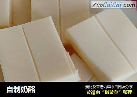 自制奶酪
