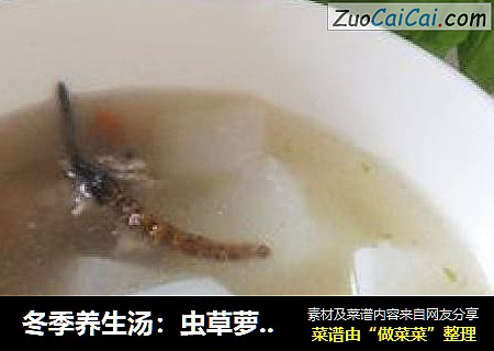 冬季养生汤：虫草萝卜排骨汤