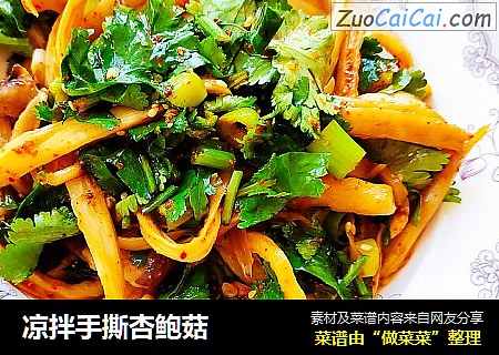 凉拌手撕杏鲍菇