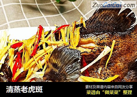 清蒸老虎斑