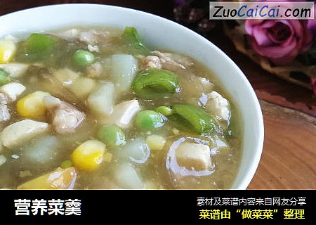 营养菜羹