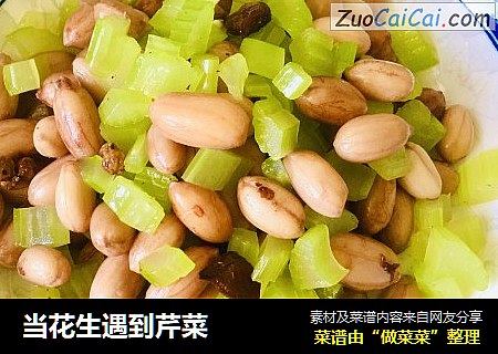 当花生遇到芹菜