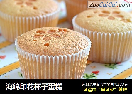 海绵印花杯子蛋糕