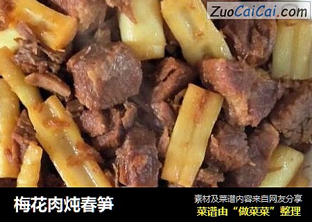 梅花肉炖春笋