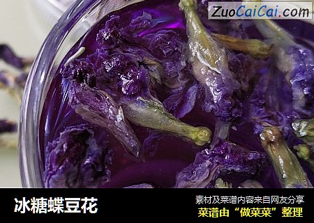 冰糖蝶豆花