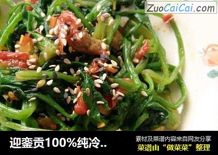 迎銮贡100%纯冷榨山茶油凉 拌 菠 菜