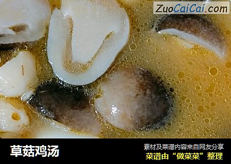 草菇鸡汤