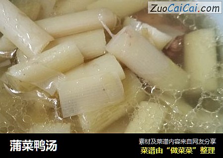 蒲菜鸭汤