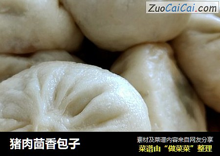 猪肉茴香包子
