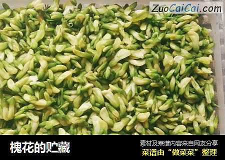 槐花的贮藏