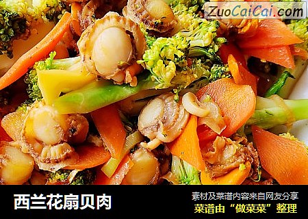 西兰花扇贝肉