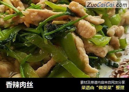 香辣肉丝