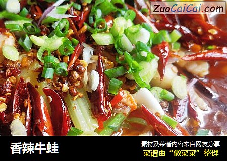 香辣牛蛙
