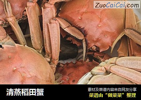 清蒸稻田蟹