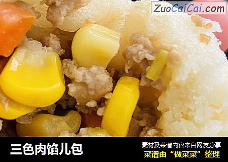 三色肉馅儿包