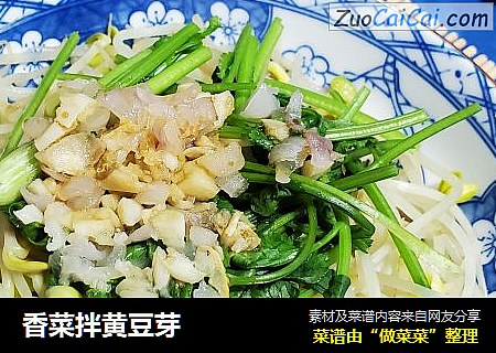 香菜拌黄豆芽