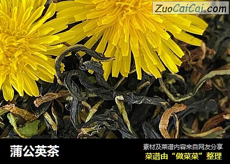 蒲公英茶