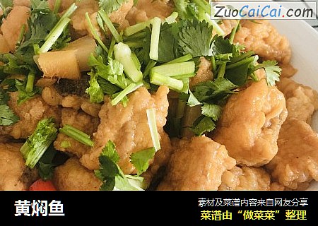 黄焖鱼