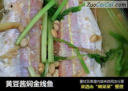 黄豆酱焖金线鱼