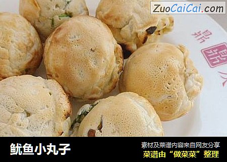 鱿鱼小丸子