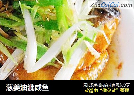 葱姜油泚咸鱼