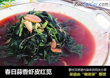 春日蒜香虾皮红苋