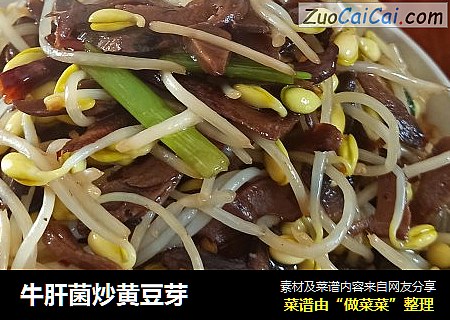 牛肝菌炒黄豆芽