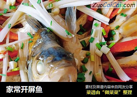 家常开屏鱼