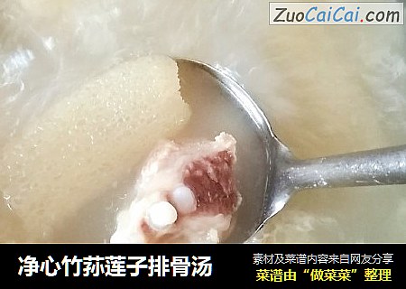 净心竹荪莲子排骨汤