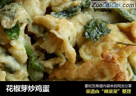花椒芽炒鸡蛋