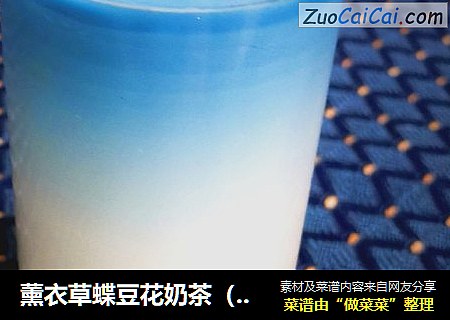 薰衣草蝶豆花奶茶（热饮）
