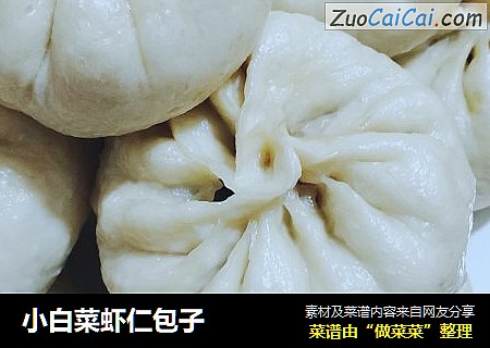 小白菜虾仁包子