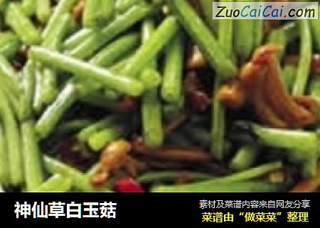 神仙草白玉菇