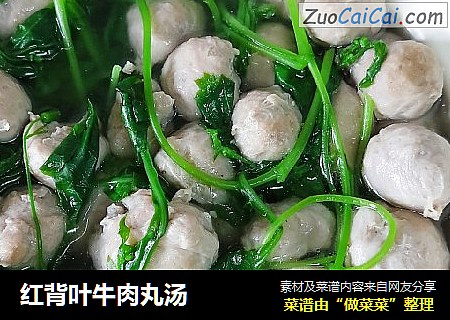 红背叶牛肉丸汤
